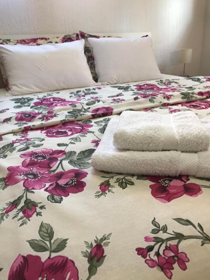 Apartman Studio Milojkovic Golubac Dış mekan fotoğraf