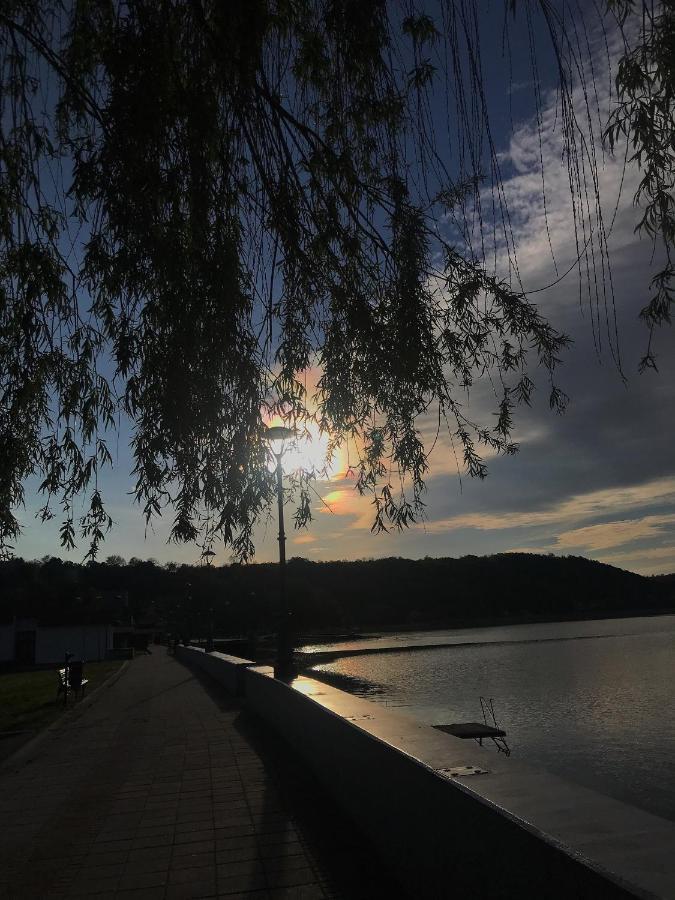 Apartman Studio Milojkovic Golubac Dış mekan fotoğraf