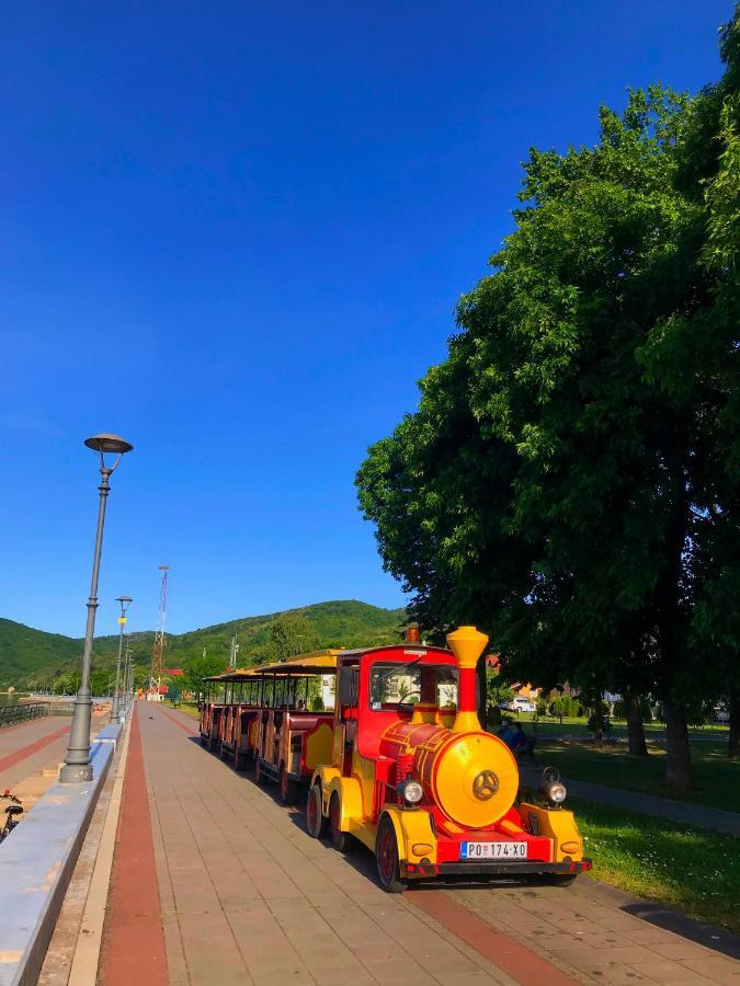 Apartman Studio Milojkovic Golubac Dış mekan fotoğraf
