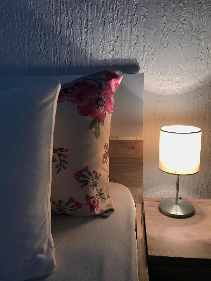 Apartman Studio Milojkovic Golubac Dış mekan fotoğraf