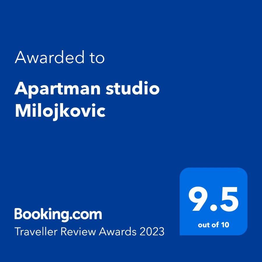 Apartman Studio Milojkovic Golubac Dış mekan fotoğraf